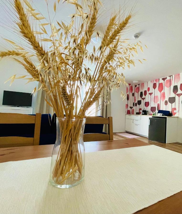 Apartament Palavske Domky Pasohlávky Zewnętrze zdjęcie